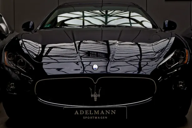 BingoFling Kazino Android/iOS programa